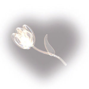 Meet your Posher, Avalon